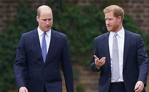 Prince William May Extend Olive Branch To Prince Harry Once Again