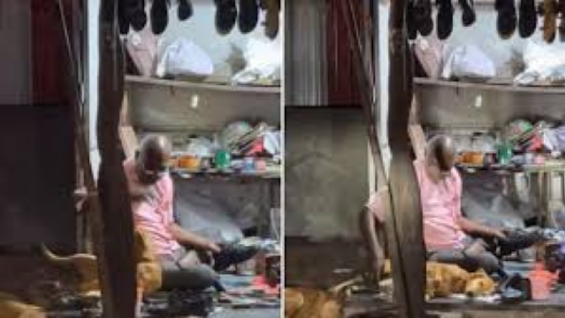 Fundraising Success For Cobbler In Bengaluru Who Shares Shop With Strays