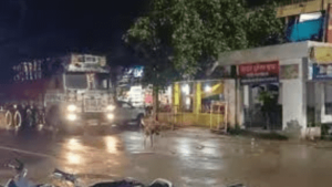 Watch: Man Sitting On Chair In Middle Of Busy UP Road Gets Hit By Truck