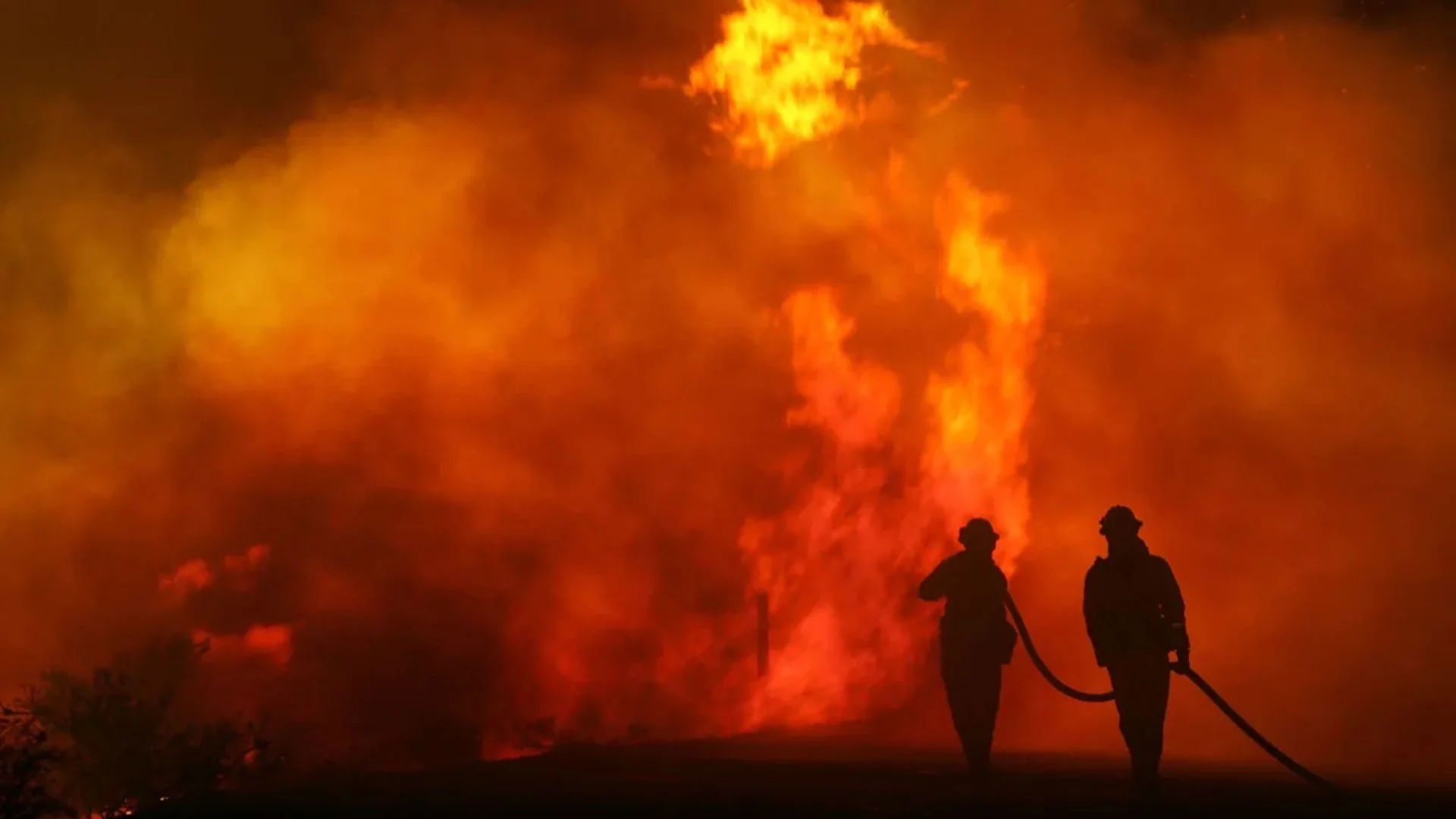 Portugal Wildfires Claim Seven Lives, Injure Dozens