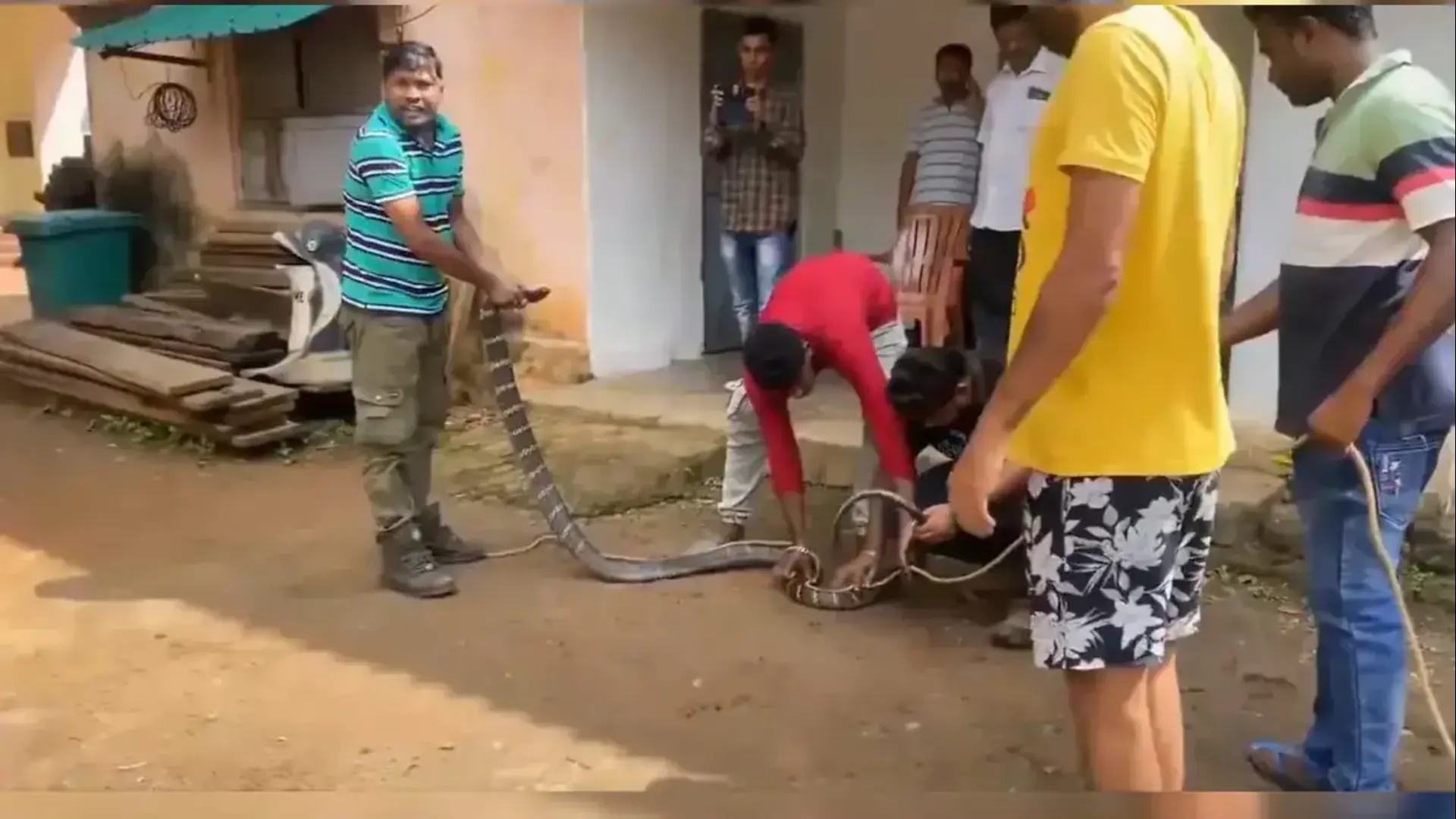 An 11-foot-long King Cobra was rescued from a house at Bangra village in Odisha's Mayurbhanj.