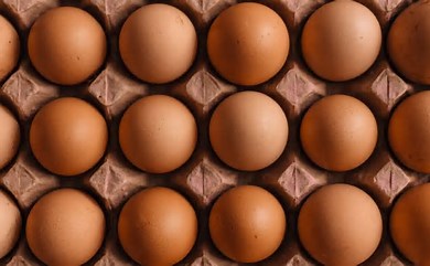 Eggs Recalled Over Salmonella Outbreak