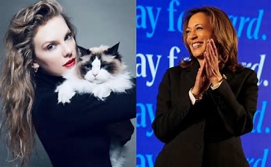 Woman Sells Taylor Swift Concert Tickets Over Kamala Harris Endorsement