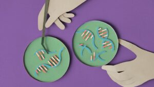 Diabetes and DNA: How genetics influence risk and disease progression