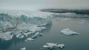 Watch: Why Antarctica Is Turning Green At An Alarming Rate? | Study