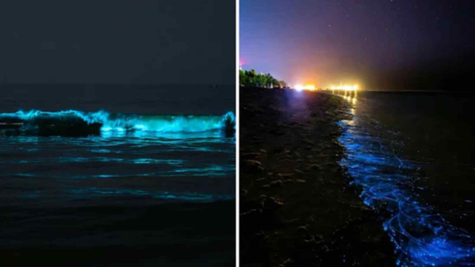 Bright Blue Waves at Chennai Beach