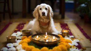 Celebrate A Pet-Friendly Diwali: How To Keep Your Furry Friends Safe And Calm This Diwali