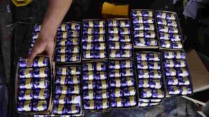 Delhi Firecracker Crackdown: 79 Cases Filed; 19,005 Kg Of Firecrackers Seized Ahead Of Diwali