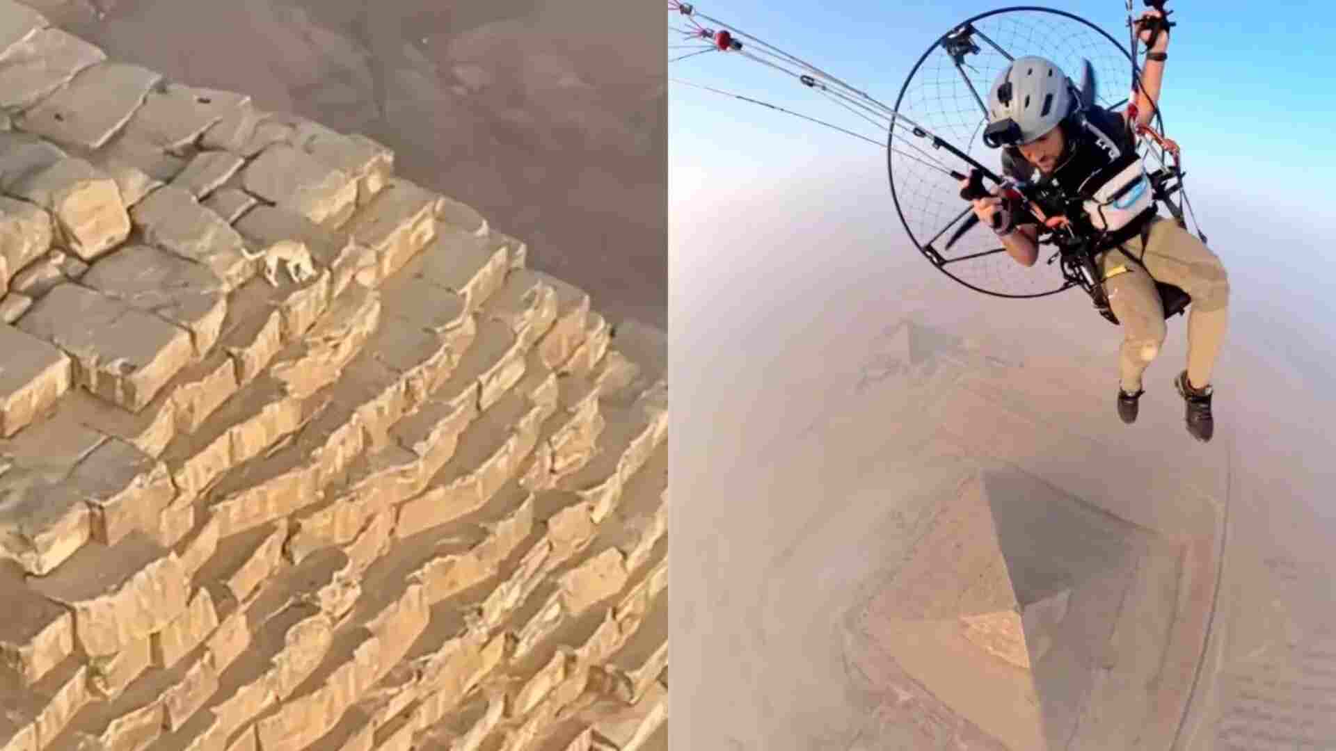 Paramotorist Spots Dog Chasing Birds Atop the Great Pyramid of Giza | Viral Video