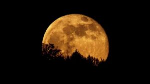 Don’t Miss Largest Supermoon of 2024: The Spectacular Hunter’s Moon Lights Up the Sky | WATCH