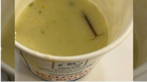 Delhi Man Finds Live Centipede in Meal at IRCTC VIP Lounge, Sparks Outrage Over Food Safety