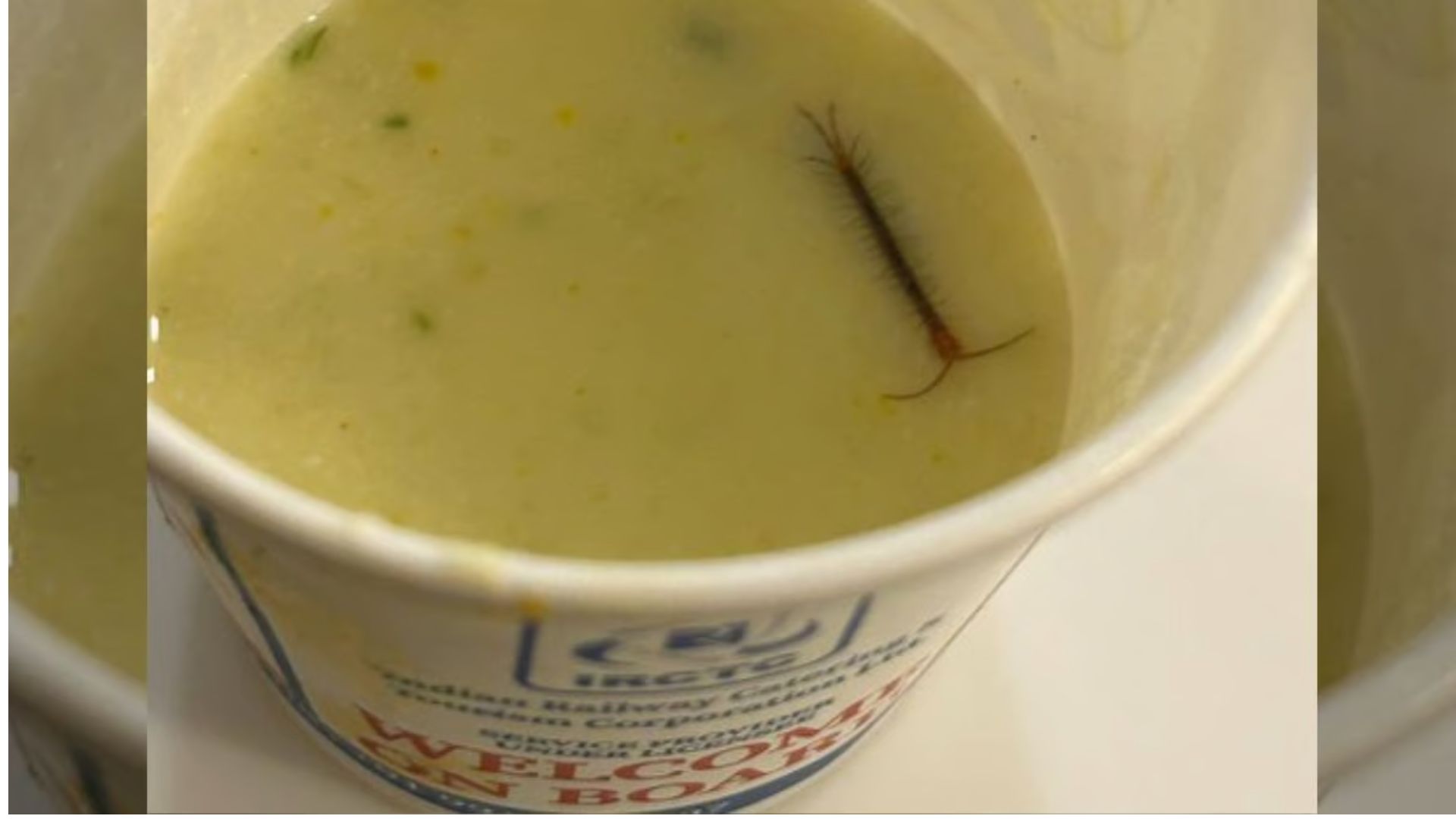 Delhi Man Finds Live Centipede in Meal at IRCTC VIP Lounge, Sparks Outrage Over Food Safety