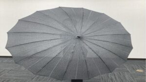 Japan Railways Unveils ‘Blade-Resistant’ Umbrellas To Enhance Passenger Safety