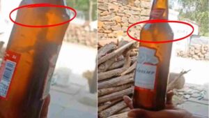 Watch: Telangana Man Finds Lizard in Budweiser Beer!