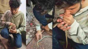 Watch: Vadodara Man Rescues Snake with CPR