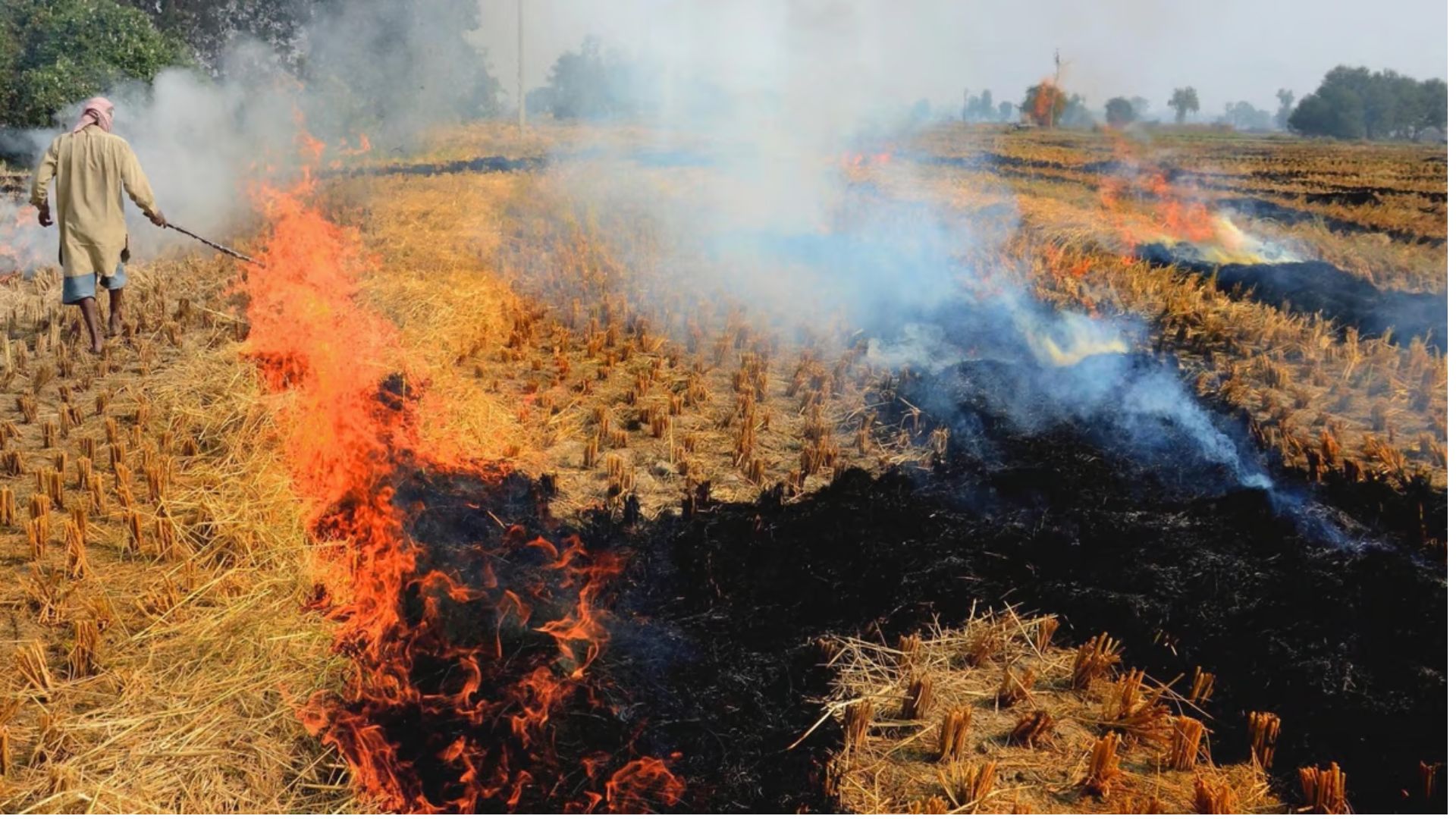 CAQM Holds Crucial Meeting with States on Stubble Burning and Polluting Vehicles in Delhi-NCR