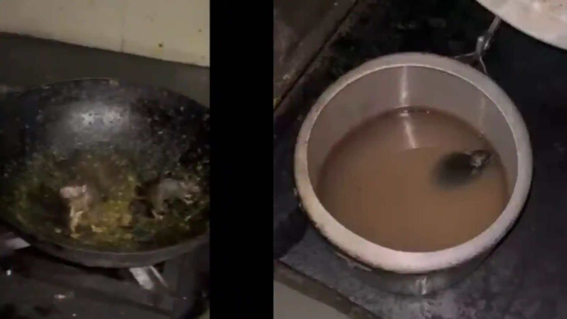 IIT Roorkee Launches Investigation Following Viral Video of Rats in Hostel Kitchen