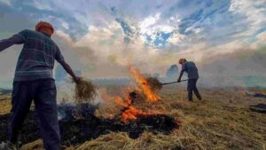 Pollution Alarm: SC Rips Into Punjab and Haryana Over Stubble Burning Negligence!