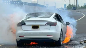 Four Killed In Tesla Electric Car Fire Incident In France, Elon Musk Under Scrutiny