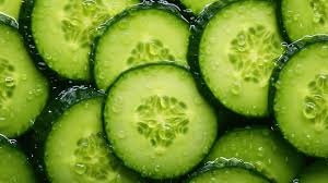 Tragic Salmonella Incident: 5-Year-Old Boy Dies After Eating Cucumber in Madhya Pradesh