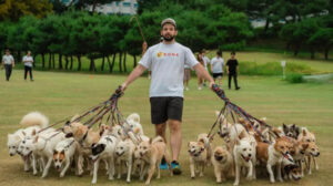 Canadian dog lover set a new record by walking 38 dogs simultaneously