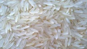 Union Cabinet Extends Free Fortified Rice Supply Under Government Schemes Until 2028