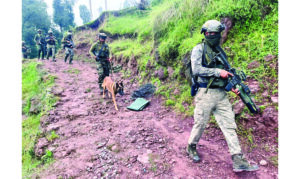 Search operation launched in Baramulla amid suspected militant activity