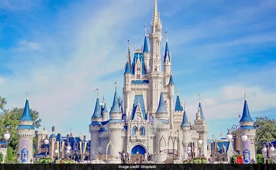 US Couple Steals Over ₹4 Crore, Takes 31 Disney World Trips On Government Funds