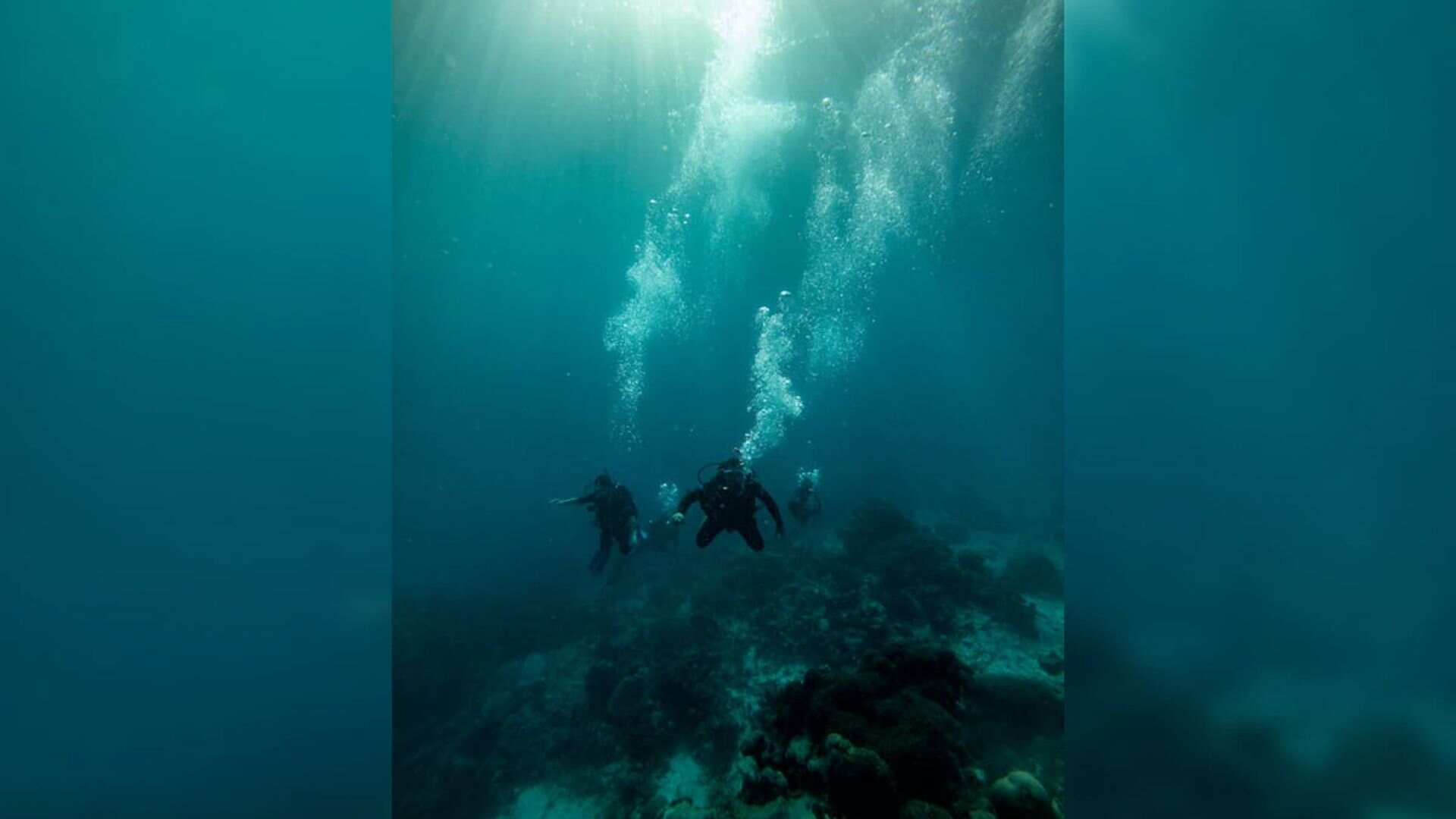 Couple Makes History By Getting Married Underwater in Saudi Arabia’s Red Sea