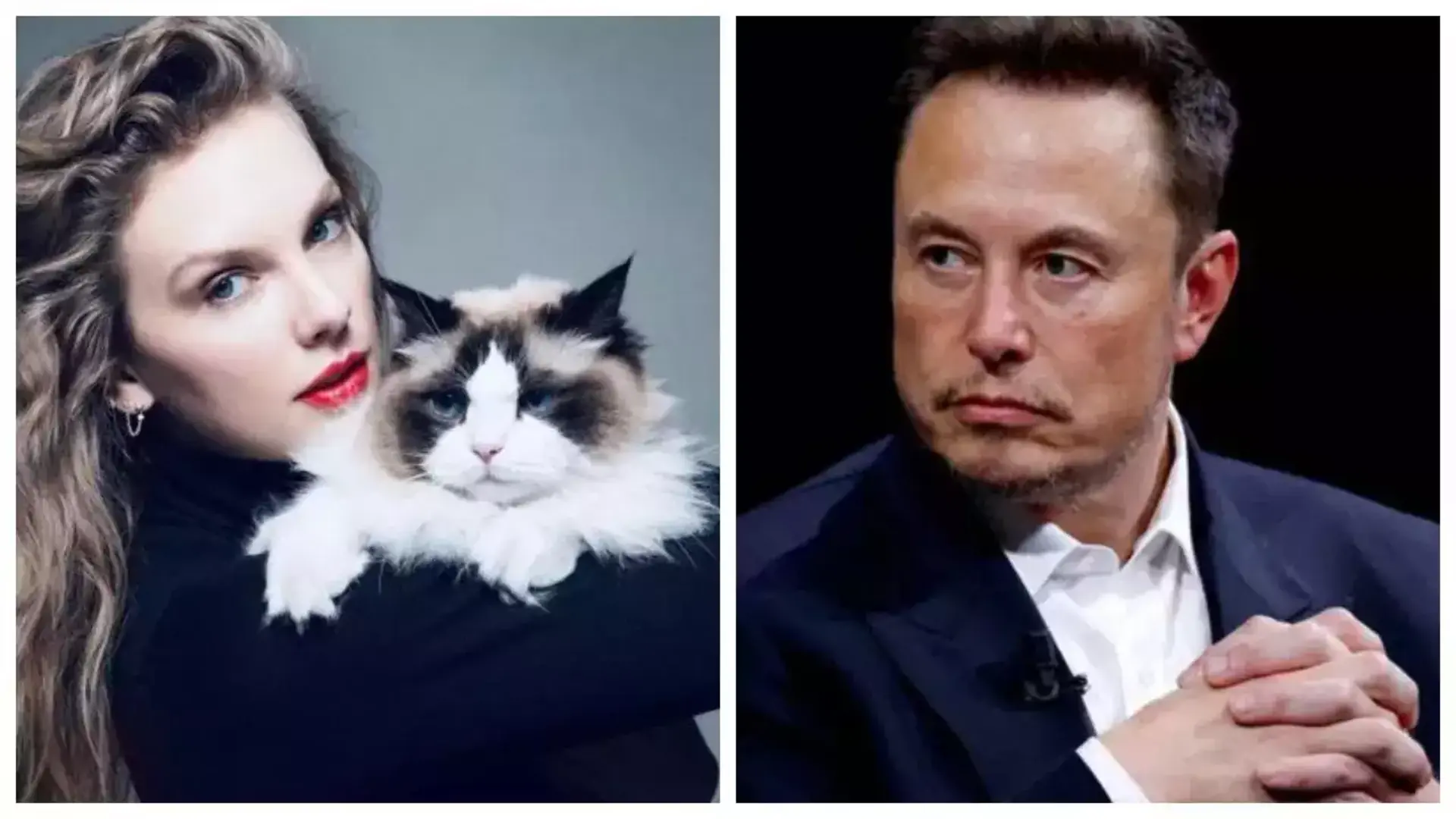 Musk Criticizes Hollywood Stars Supporting Harris, Calls Them 'Puppets'