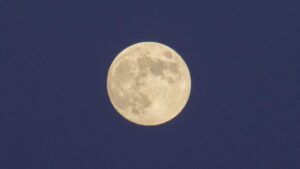 Beaver Moon: How The Final Supermoon Of 2024 Will Impact Each Zodiac Sign