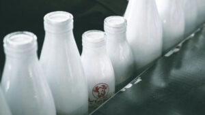 Bird Flu Found in Raw Milk in the US: What You Need to Know About the Risks