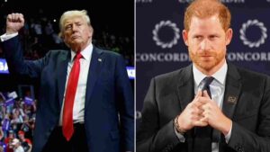 Prince Harry’s Confidential Immigration Records May Be Released After Trump’s Victory | Report