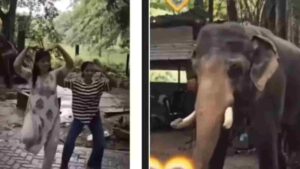 Elephant Performing ‘Bharatanatyam’? IFS Officer Reveals the Truth Behind Viral Video | WATCH