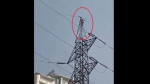 Man Scales High-Voltage Tower In Noida, Performs Dance On Top | Watch