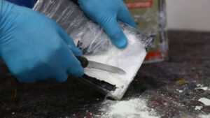 NCB Busts Major Cocaine Operation In Delhi, Seizes Over 80 kg And Arrests 4