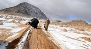 Saudi Desert Transforms As Snow Falls For The First Time Ever