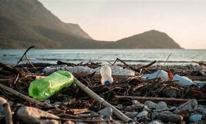 UN Talks Aim To Tackle Global Plastic Pollution Crisis In Busan