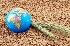 UAE Leads Global Food Security Dialogue At Global Food Week