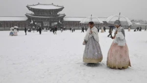 Seoul Shattered By Century-Old Snowfall Record, Travel Chaos Grips South Korea