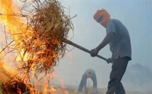 Punjab Sees Surge In Farm Fires; Sangrur Tops With Over 350 Cases