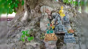 Broken Idols of Hindu Deities Found Near Uncovered Temple in Sambhal