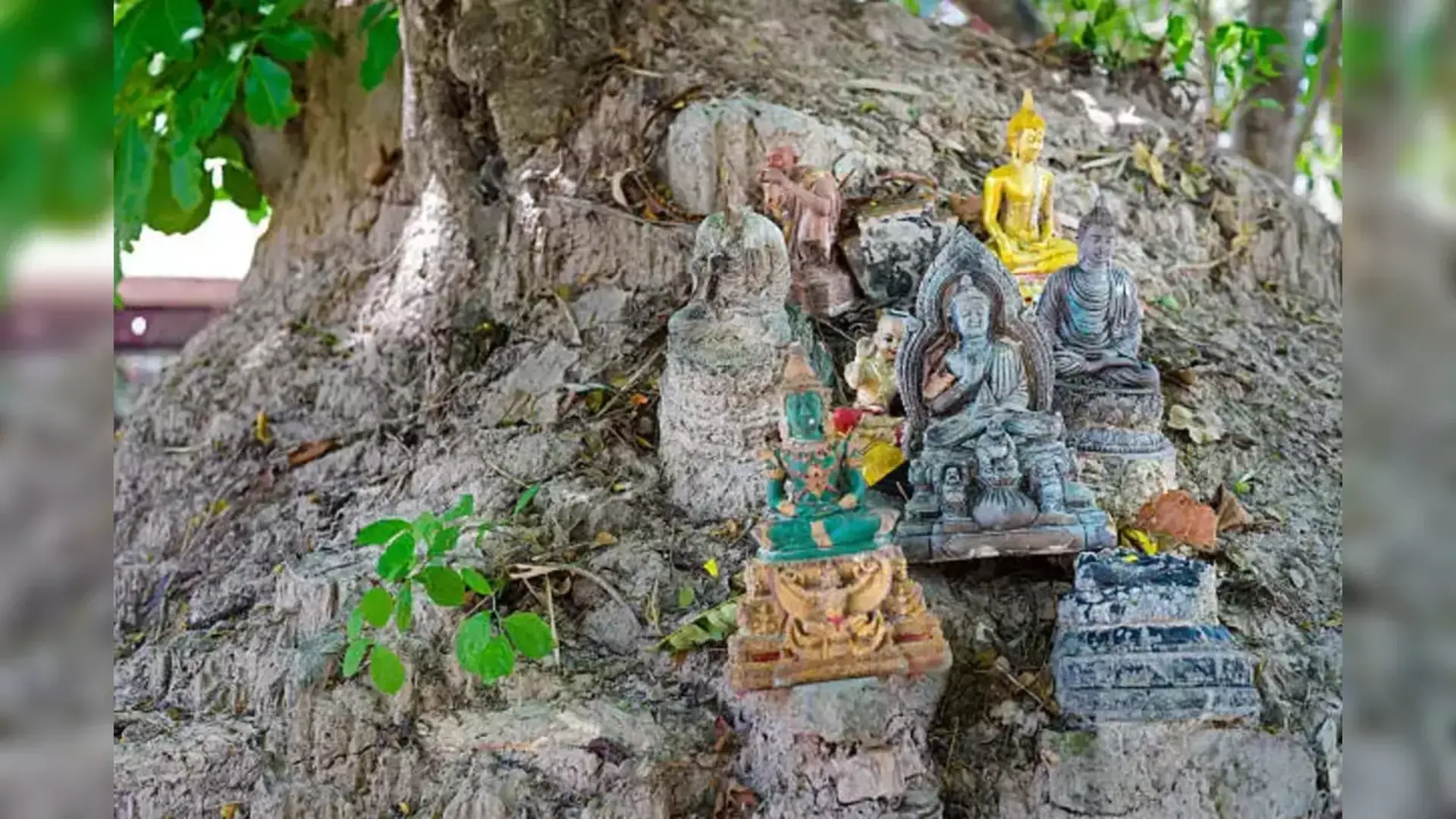 Broken Idols of Hindu Deities Found Near Uncovered Temple in Sambhal