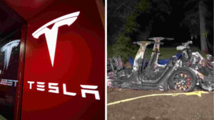 Two Killed in Fiery Tesla Crash in Pelham Manor, New York