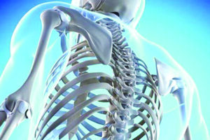 Maintaining bone health: A guide to strong bones for life