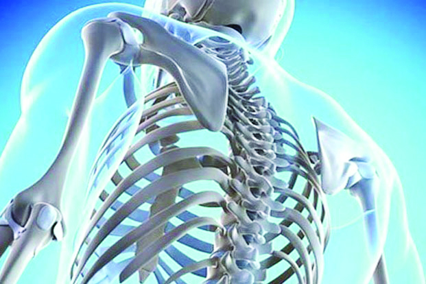 Maintaining bone health: A guide to strong bones for life