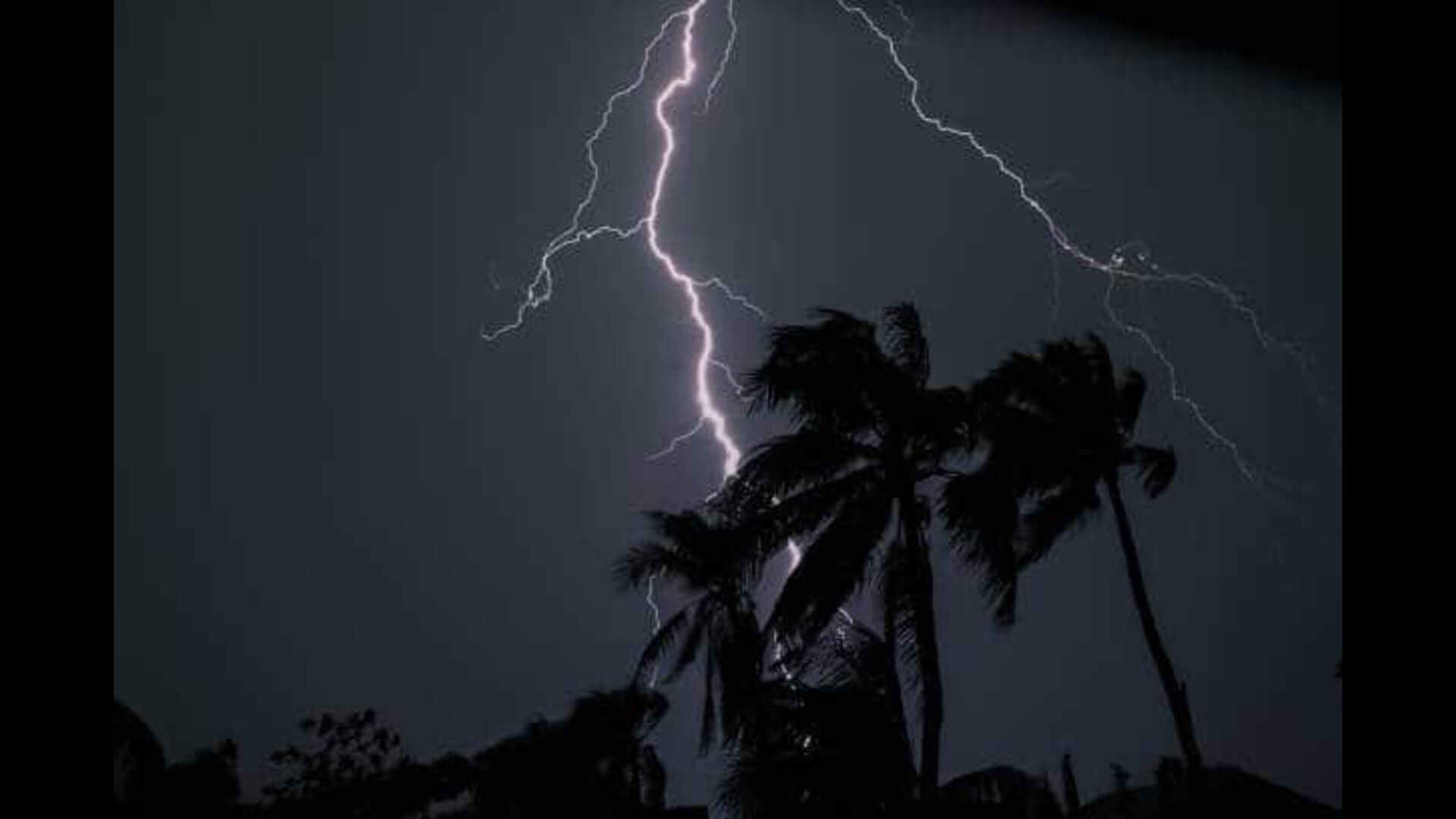 Cyclone Fengal Update: IMD Warns of Thunderstorms and Heavy Rain Across Kerala