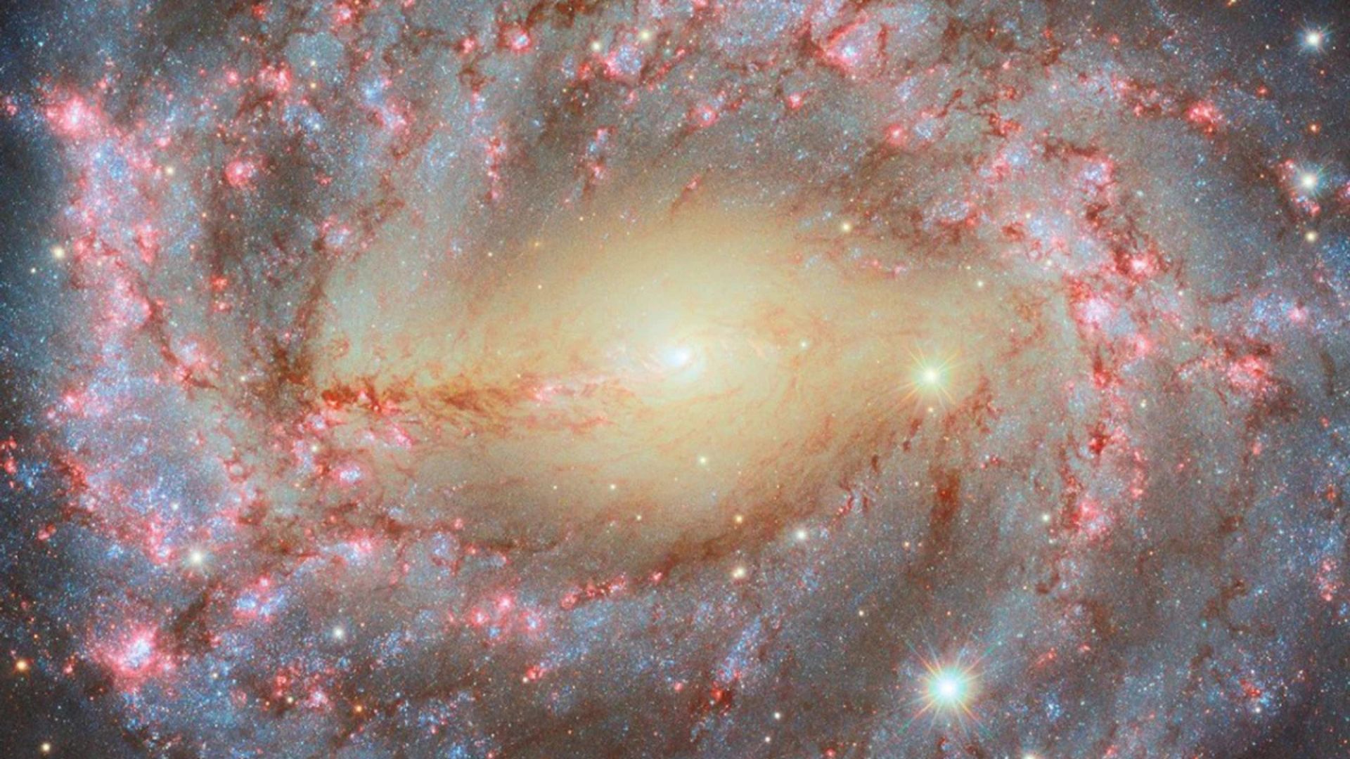 Hubble Telescope Captures Spiral Galaxy NGC 5643, Star Formation, and Hidden Black Hole