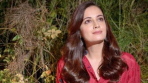 Bollywood Stars Shower Dia Mirza with Love on Her Birthday