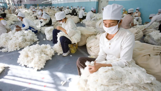 China Urges Uniqlo and Others to Support Xinjiang Cotton